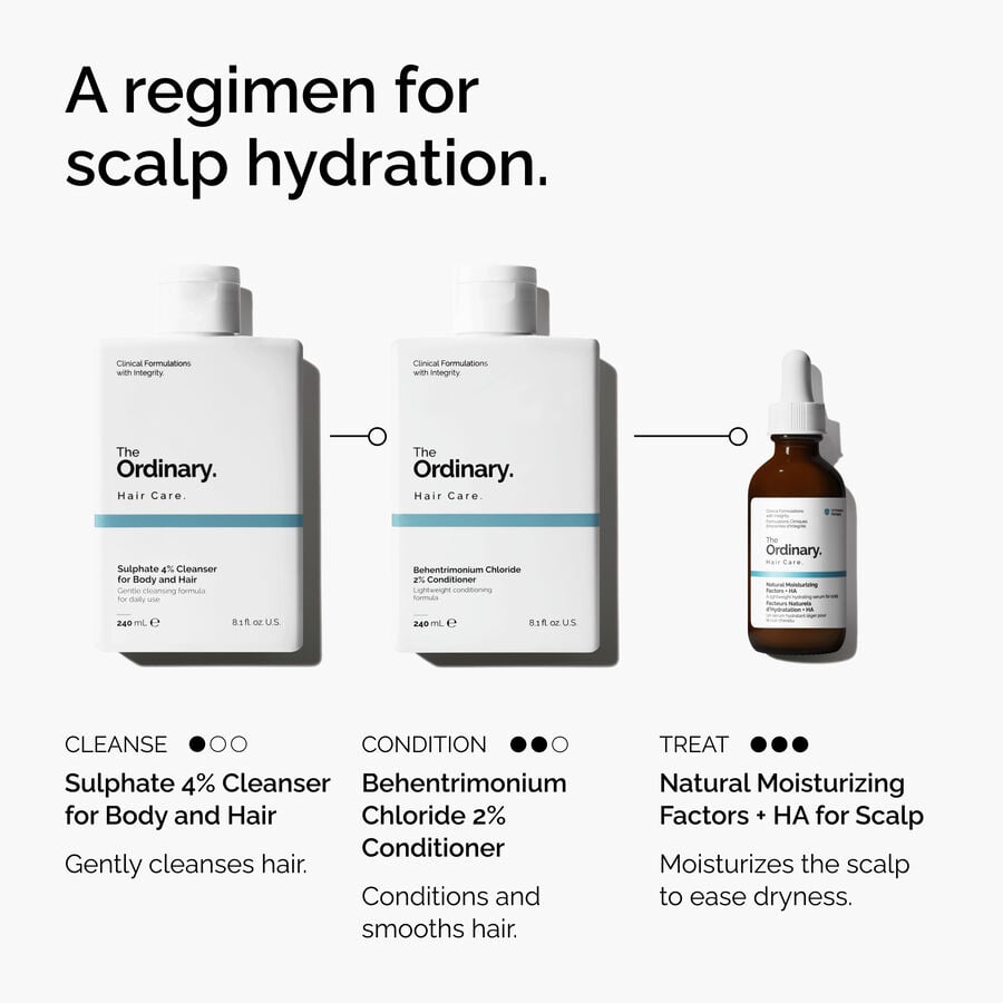 Natural Moisturizing Factors + HA for Scalp - US 2685