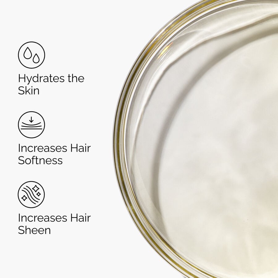 100% Organic Cold-Pressed Moroccan Argan Oil - US 6623