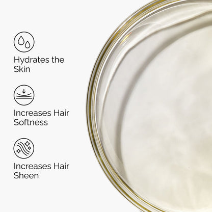 100% Organic Cold-Pressed Moroccan Argan Oil - US 6623