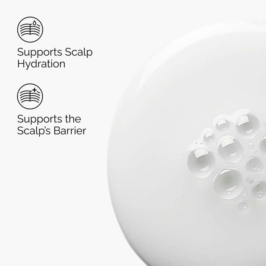 Natural Moisturizing Factors + HA for Scalp - US 2685