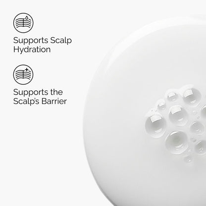 Natural Moisturizing Factors + HA for Scalp - US 2685