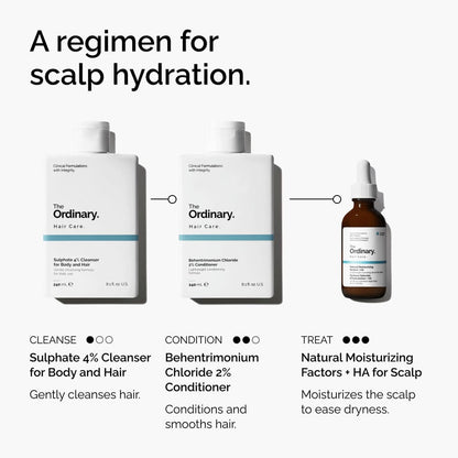 Natural Moisturizing Factors + HA for Scalp - US 2685