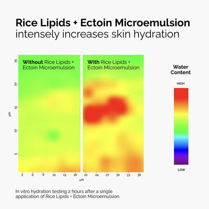 Rice Lipids + Ectoin Microemulsion - US 9484