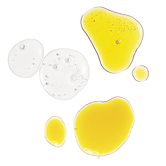 The Antioxidant Collection - US 5458